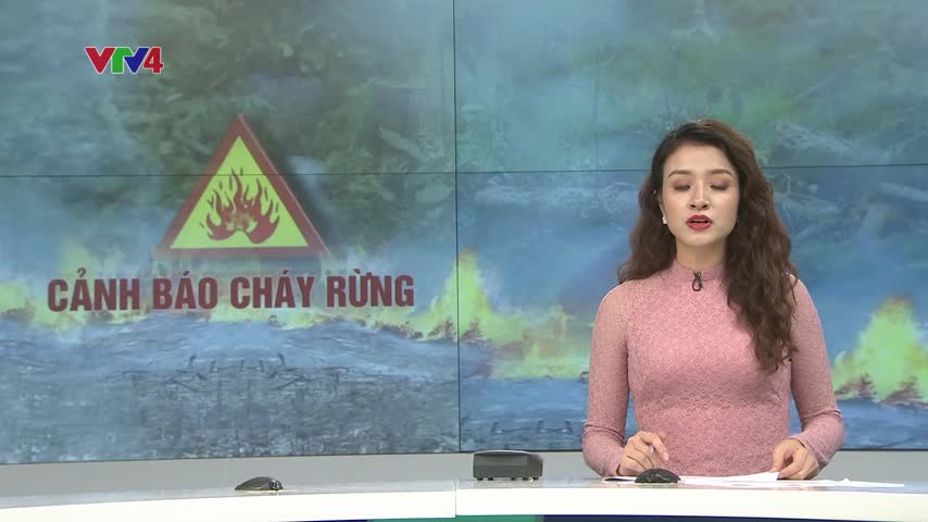 Cháy rừng do nắng nóng ở Nghệ An