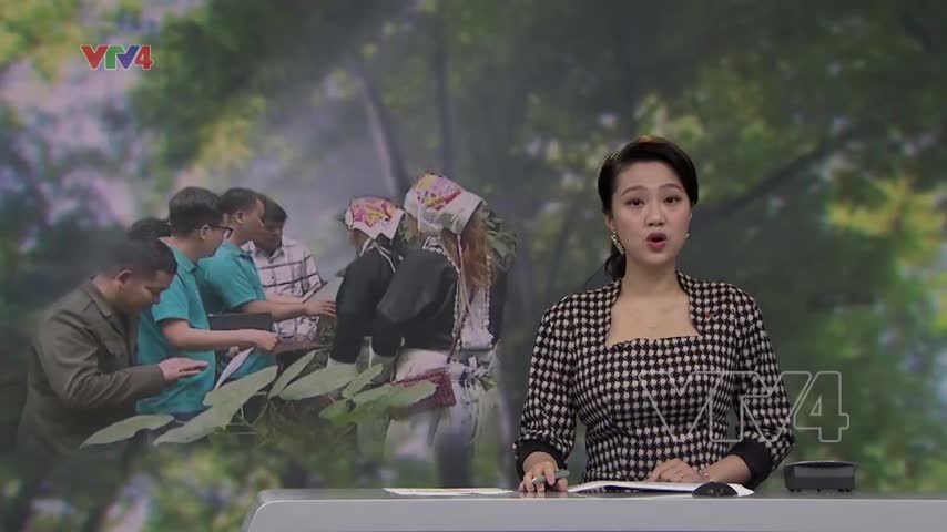 Việt Nam với nỗ lực tăng cường hợp tác, kiểm soát hoạt động khai thác và thương mại gỗ bất hợp pháp