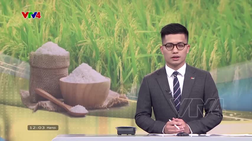 Vốn cho chuỗi liên kết ngành gạo