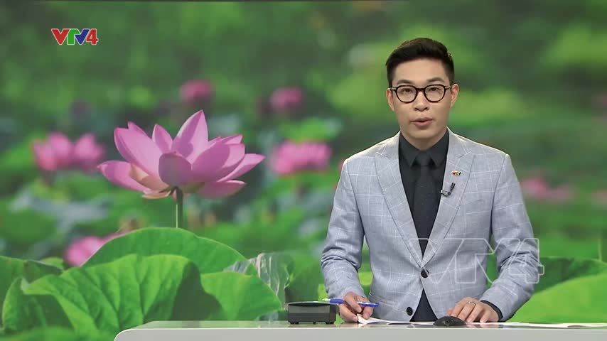 Nhiều dư địa xuất khẩu cho ngành sen