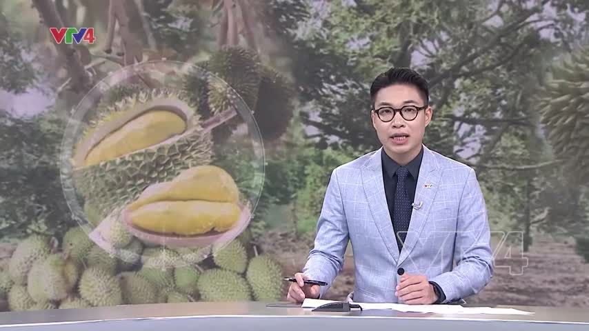 Đa dạng tiêu thụ nông sản