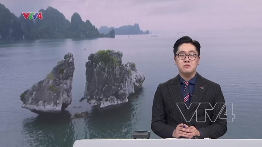 Phương án bảo tồn hòn Trống Mái