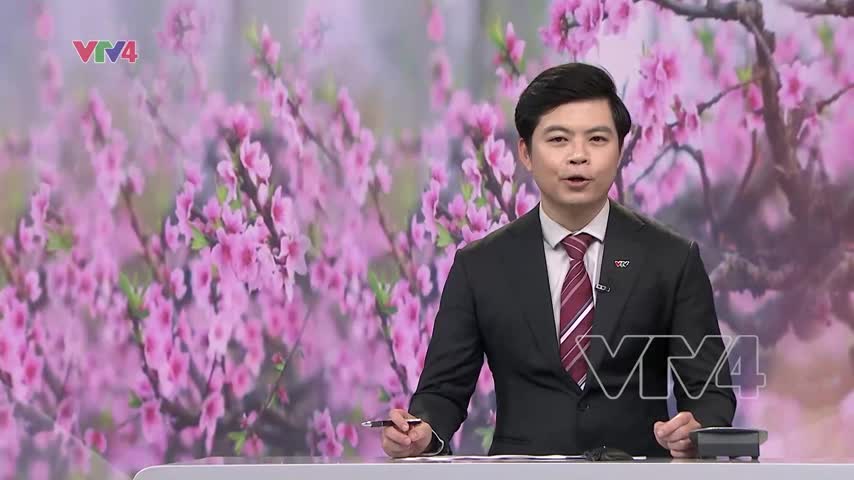 Khai hội xuân núi Bà Đen