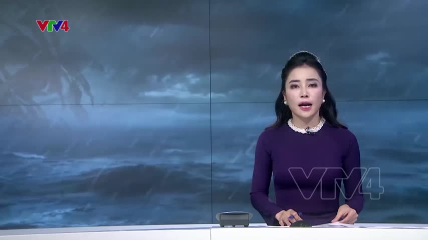 Thiệt hại do bão số 9 tại Quảng Ngãi