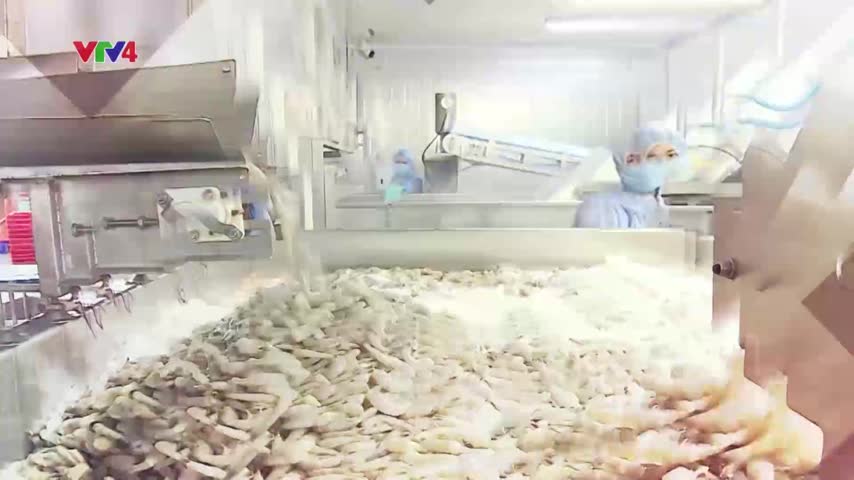 Focus:Triển vọng xuất khẩu thủy sản Việt Nam