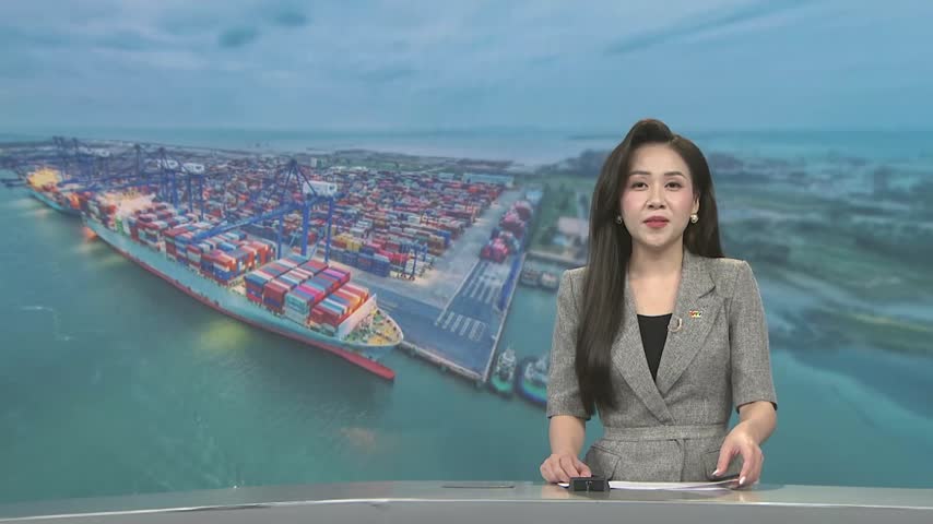 Tận dụng giá cước container hạ nhiệt để xuất hàng sớm