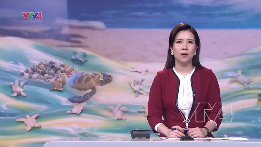 Thế hệ trẻ bảo vệ thiên nhiên, môi trường