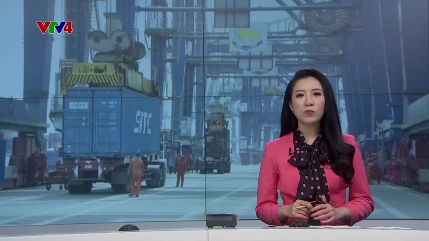 Cảng biển chuyển đổi công năng tránh lãng phí hạ tầng