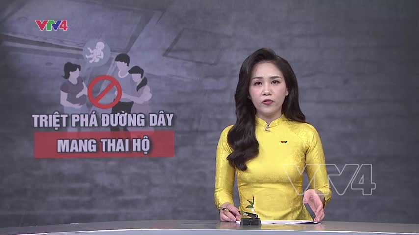 Mô hình công ty trong đường dây đẻ thuê xuyên quốc gia
