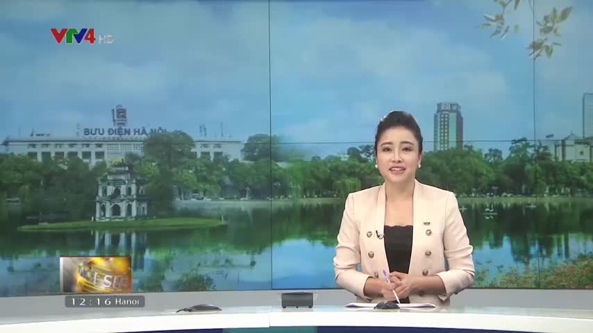 Tình nguyện viên Nhật Bản bảo vệ môi trường tại Việt Nam 