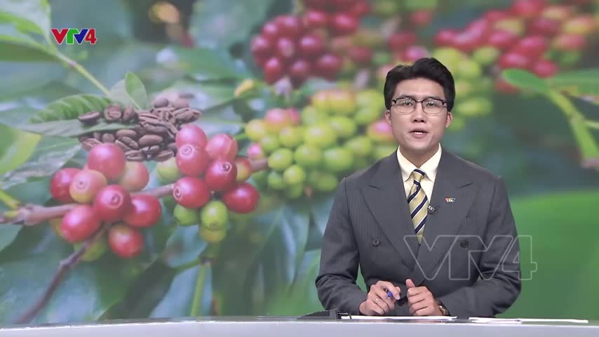 Kim ngạch xuất khẩu cà phê tăng nhẹ