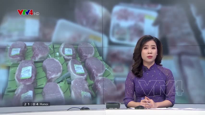 Giải pháp tái đàn để đảm bảo nguồn cung thịt lợn
