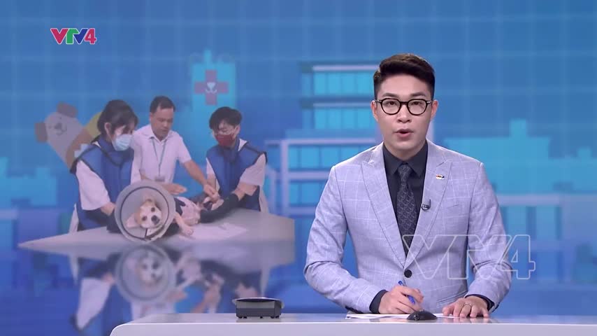 Đào tạo nhân lực ngành thú y đáp ứng nhu cầu thị trường