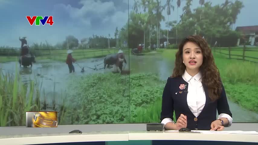Phát triển du lịch sinh thái nông nghiệp bền vững