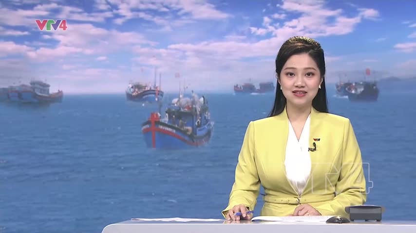 Ngư dân làm giàu từ ngư trường Hoàng Sa, Trường Sa