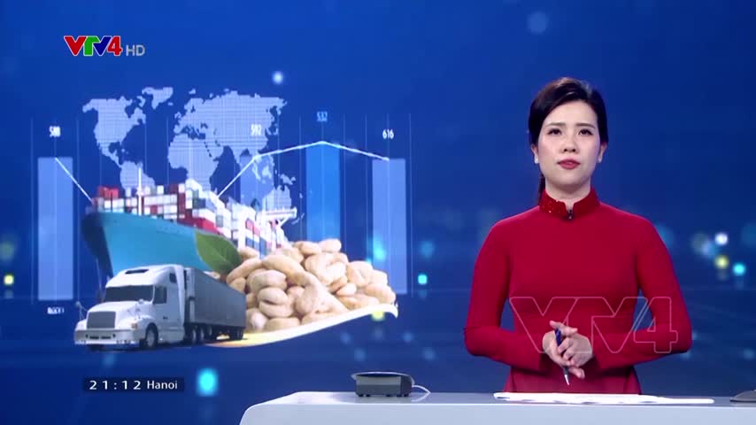 Giải quyết vụ 20 container hạt điều bị mất kiểm soát 