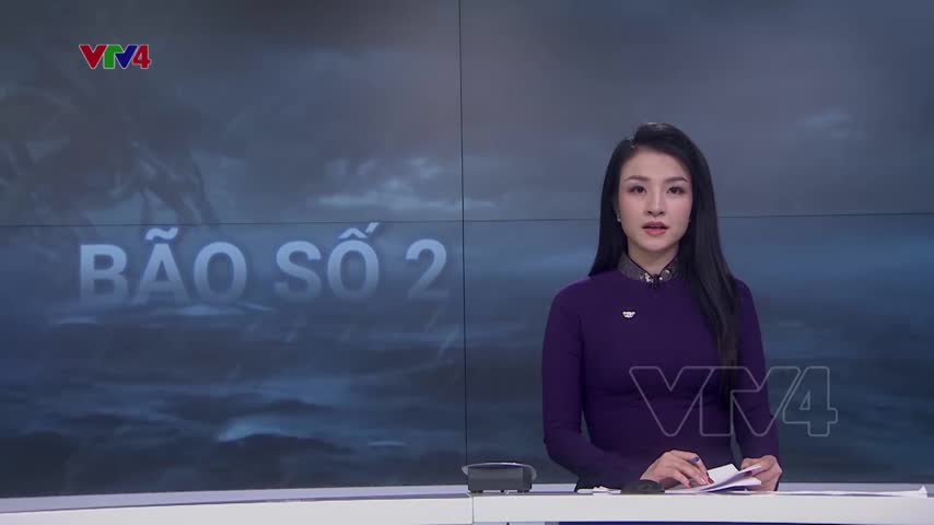 Các địa phương chủ động phòng, chống bão số 2