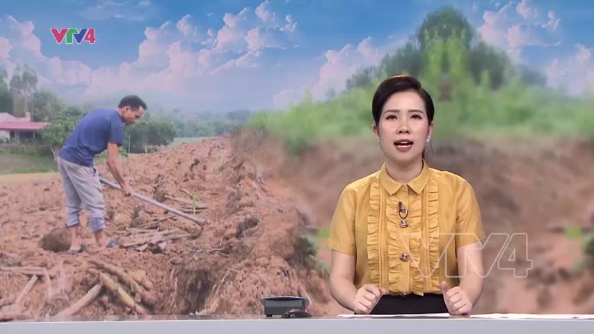 Thiệt hại nặng do nắng hạn kéo dài
