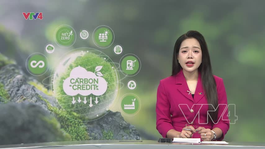 Chủ động giảm phát thải, hướng đến Net Zero