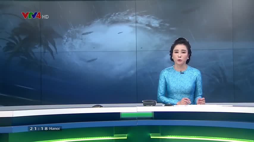 Sẵn sàng ứng phó với bão số 3