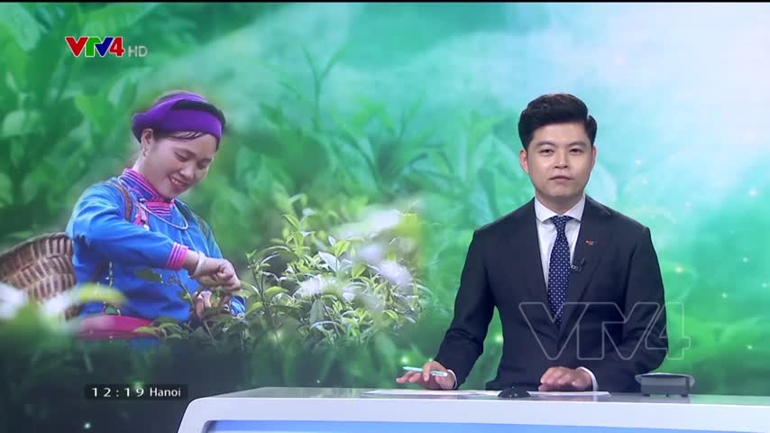 Phát triển thương hiệu chè từ bản sắc của địa phương