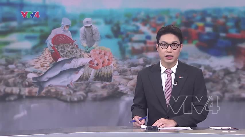 Nỗ lực vì ngành hải sản bền vững