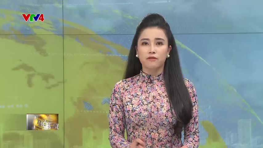 Chính sách đấu thầu mới của Ngân hàng thế giới và Ngân hàng phát triển châu Á tại Việt Nam