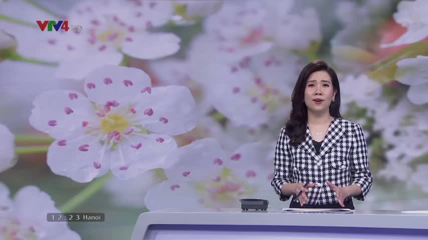 Khai mạc lễ hội hoa lê tại Tuyên Quang