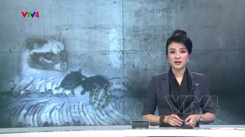 Nỗ lực của Việt Nam bảo vệ động vật hoang dã
