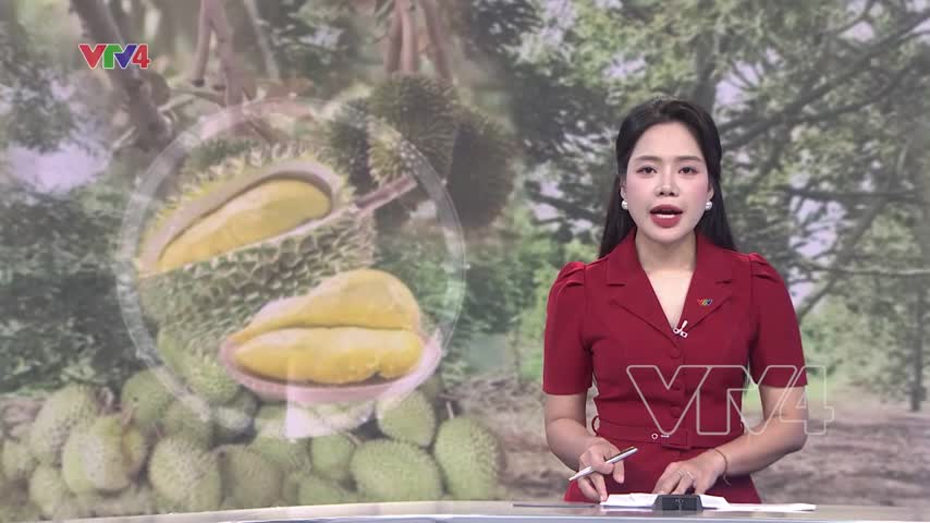 Nâng cao năng lực kiểm nghiệm sầu riêng trong nước