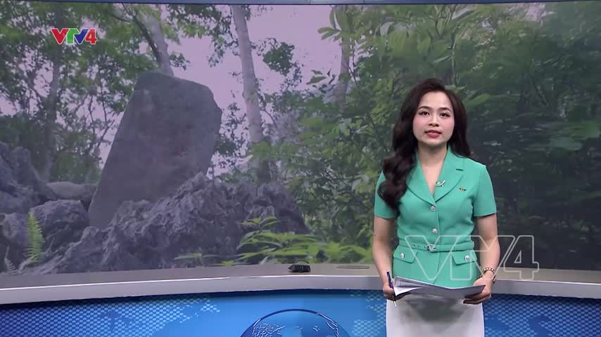 Giải phóng dân tộc là nhiệm vụ cấp bách