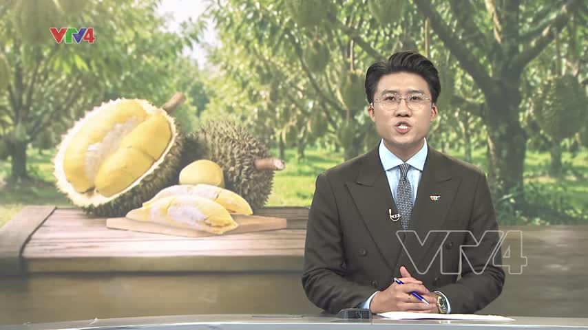 Sầu riêng - động lực chính cho xuất khẩu rau quả Việt Nam