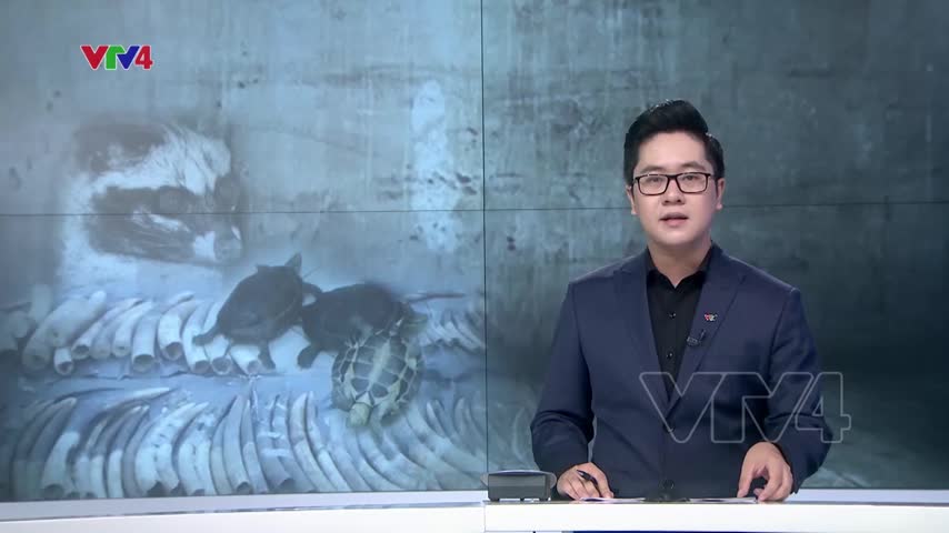 Thủ tướng chỉ thị dừng nhập khẩu động vật hoang dã
