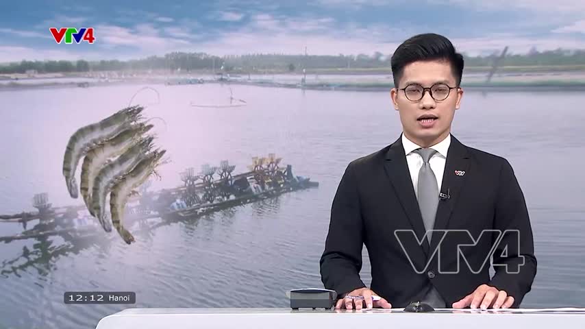 Nuôi tôm công nghệ cao bền vững