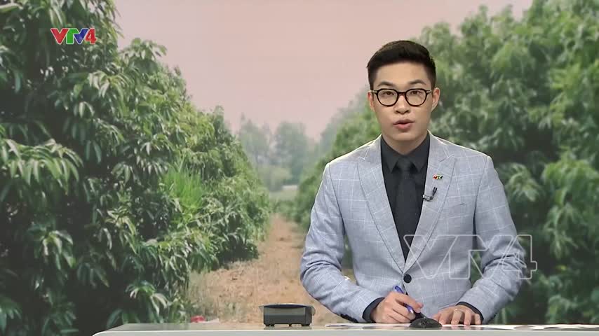 Nỗ lực chống hạn cho cây trồng