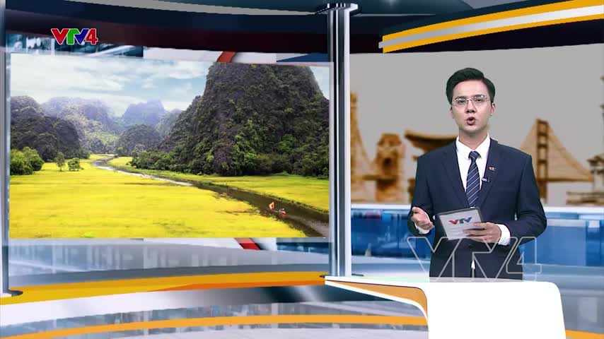 Mùa lúa chín Tam Cốc