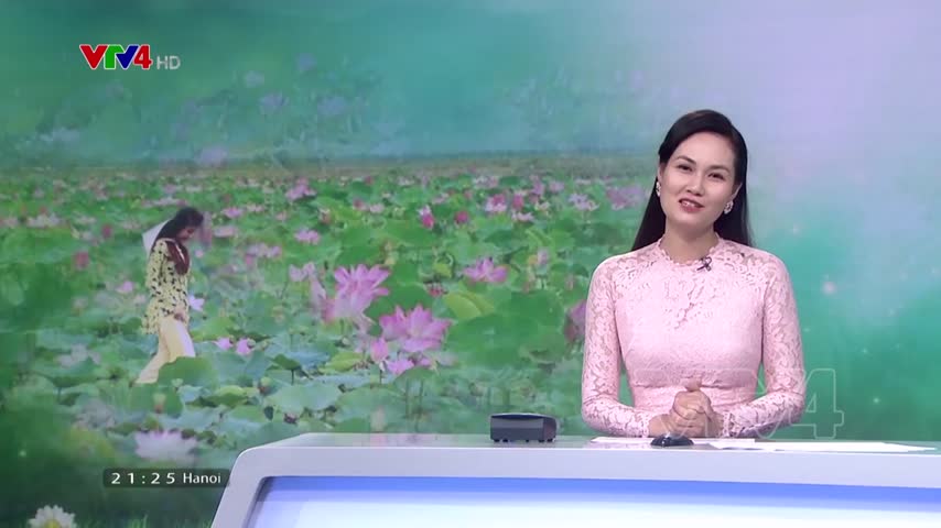Đồng Tháp nỗ lực làm mới các sản phẩm du lịch