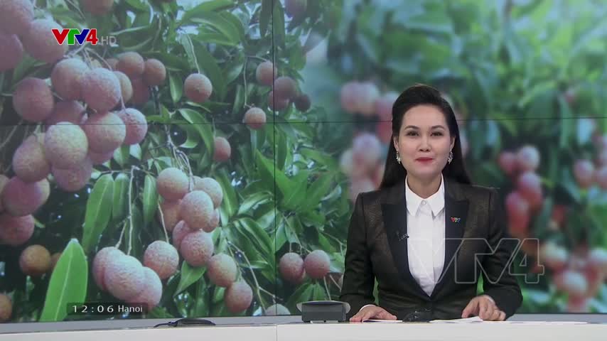 Nhật chấp nhận nhập quả vải Việt Nam