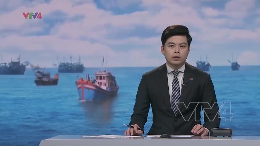 Nỗ lực chấm dứt tình trạng tàu cá 