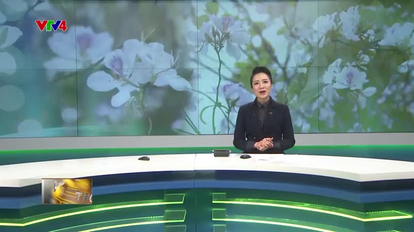 Sự tích hoa Ban Tây Bắc
