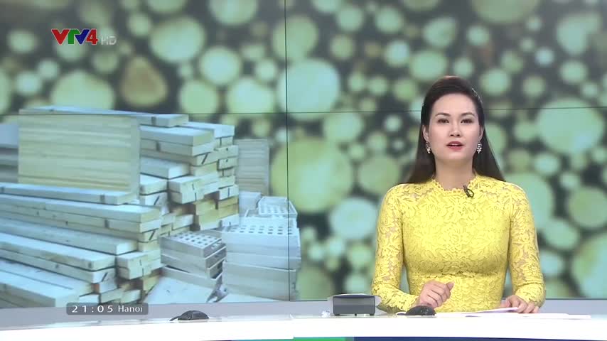Việt Nam và UE họp báo công bố phê chuẩn hiệp định VPA/FLEGT