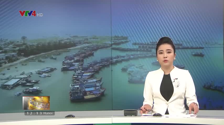 Giải pháp đẩy mạnh hiệu quả khai thác hải sản