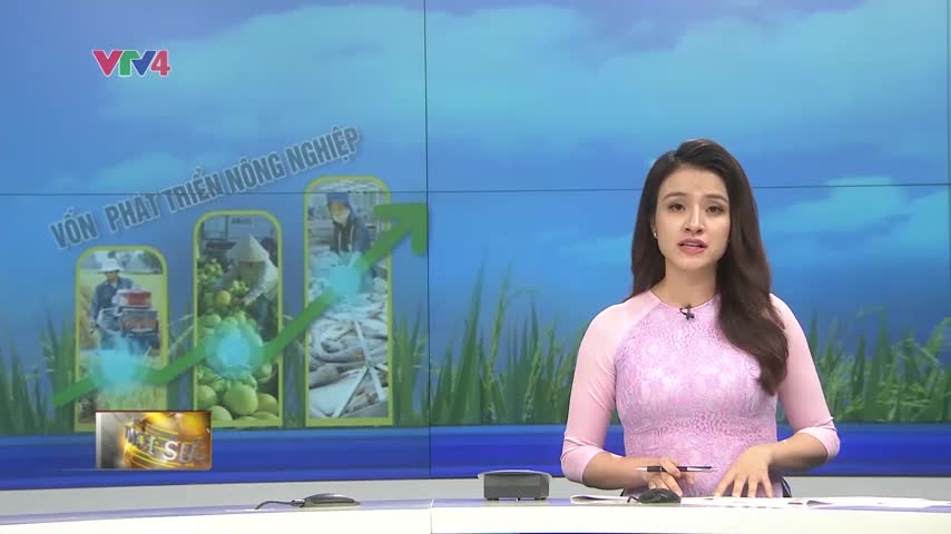 Cho vay nông nghiệp chiếm ¼ nguồn vốn ngân hàng