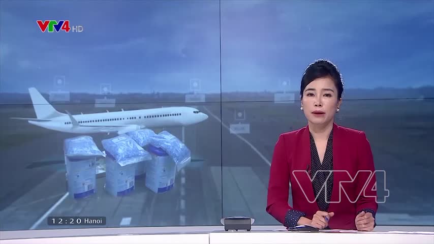 Gia tăng vận chuyển ma túy qua đường hàng không, bưu điện