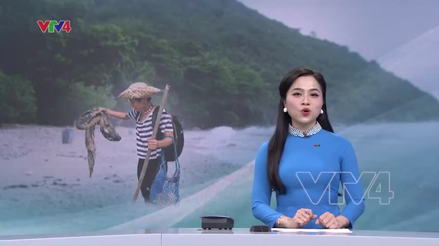 Cô gái người Áo gốc Việt yêu biển đảo quê hương