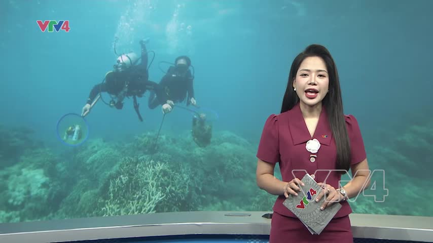 Áp lực bảo tồn san hô mùa du lịch biển
