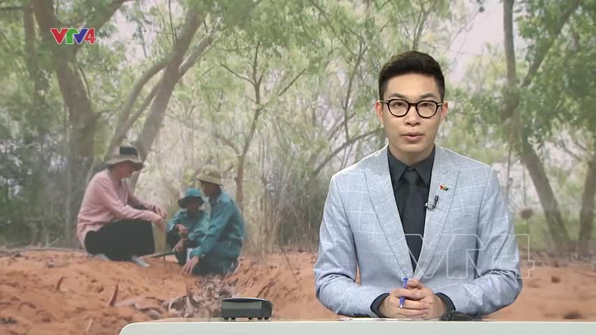 Cảnh báo cháy rừng ở huyện Bắc Bình, Bình Thuận