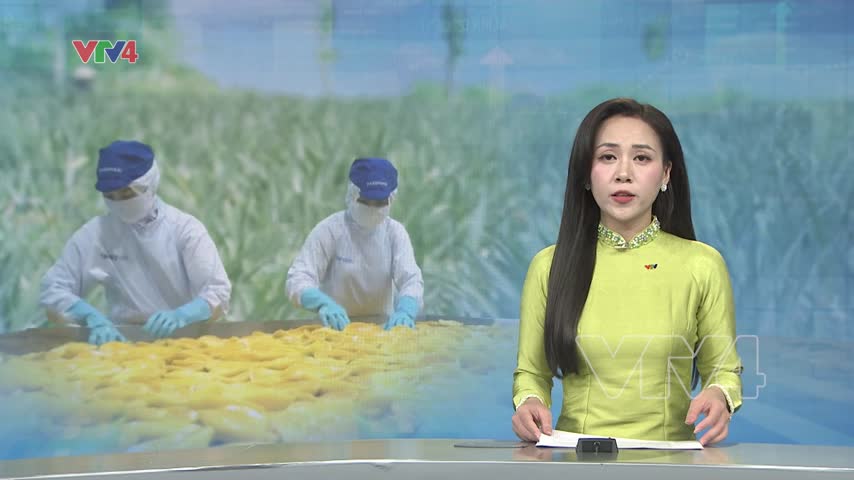 Thích ứng để giữ thị trường nhập khẩu nông sản chủ lực