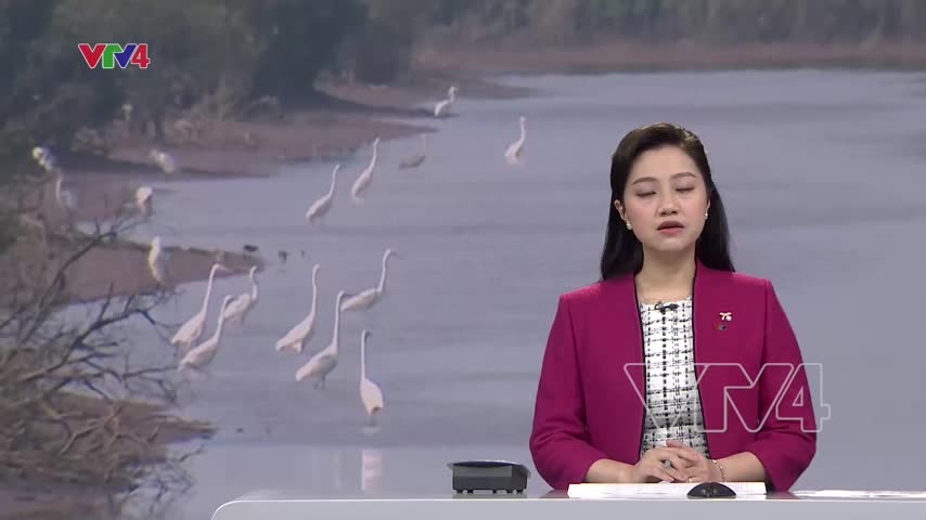 Bảo tồn chim di cư vùng châu thổ sông Hồng
