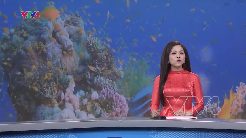 Phú quốc lọt top 4 điểm đến xu hướng toàn cầu năm 2026